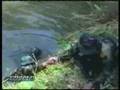 videos de Kaibiles
