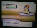 Pokemon wifi battles : vs arcanine rules