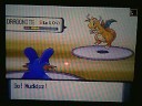 Pokemon wifi battles : vs arcanine rules