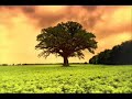 london voices
chorus master: terry edwards
the national orchestra of sweden
peter e�tv�s