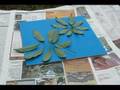 Curbly Video Podcast: Graffitti Leaves