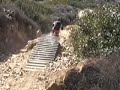 P Luken 06 PV Clips Compressed