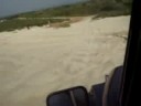 Dunas doradas