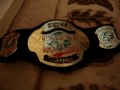 ECW Jakks pacific belt