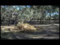 videos de MTB jumping