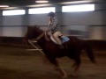 jumping my horse tristan