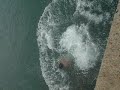 Pulando em Ubatuba