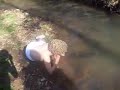 MBA Latin - Narcissus & Echo, Part II