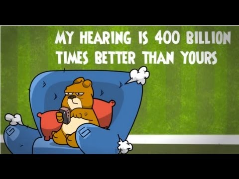 texts - The cartoon adventures of one man and his annoying texting dog. by October Jones http://www.thepoke.co.uk http://www.facebook.com/PokeHQ http://twitter.com/#...