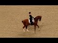 Globen horseshow 28 dec
