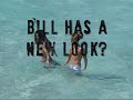 Tom & Bill Kaulitz on vacation in Ibiza =)
but .... Where are Gustav and georg?
Enjoy! and Subscribe me =)
-----------------------------------------------------------------------
Tom & Bill Kaulitz en sus vacacion en Ibiza =)
pero .... en donde estan Gustav y georg?
Disfrutalo! y subscribete! =)
-----------------------------------
Bill has dreadlocks? or those things that are white hair?
Discuss!
---------------------------------
Bill tienes rastas? o que son esas cosas blancas de su cabello?
Comenten! =)
Thank'Z for This Honors!
   #3 - Most Subscribed (This Week) - Germany
#1 - Most Subscribed (This Week) - Musicians - Germany
#10 - Most Subscribed (This Week) - Musicians
#3 - Most Subscribed (This Week) - Germany
#1 - Most Subscribed (This Week) - Musicians - Germany
#10 - Most Subscribed (This Week) - Musicians
#34 - Most Subscribed (This Month) - Germany
#4 - Most Subscribed (This Month) - Musicians - Germany
#25 - Most Viewed (Today) - Musicians - Germany
#37 - Most Viewed (This Week) - Musicians - Germany