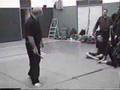Bujinkan Israel - Ju Po Sessho Part02 2003 BlueCliff Dojo