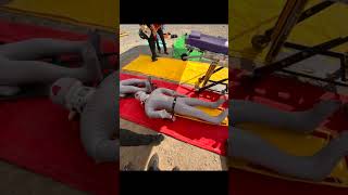 자랑스러운 동명인 이태림 선배님