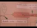energy from rice husk , biodiesel