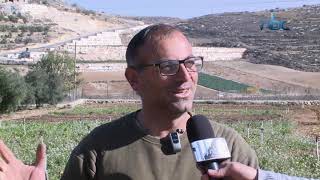 قرية الحدب في محافظة الخليل، تشتهر بزراعة اللفت وتوفر بيئة زراعية مناسبة لزراعته