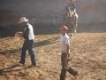 Los Torros ..La Labor De Solis