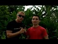 Theft and Crime in Costa Rica
