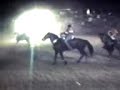 el caballo destripado