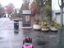 Dani tried to make friends with a bird. Dani tried to make friends with a bird.