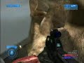 EVO Furby's Montage