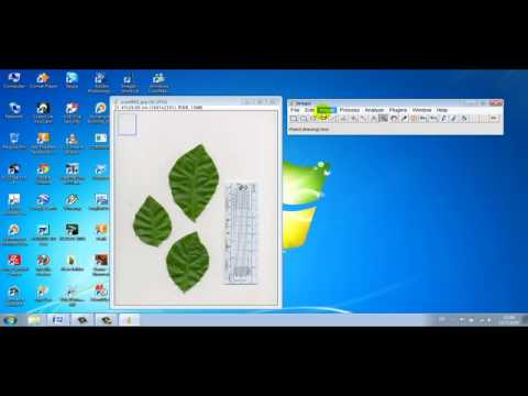how to use imagej to measure length