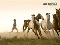 Hard Sun: A Chris McCandless Tribute