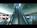 Shanghai World Financial Center in 3D