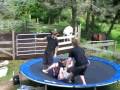Old Bristol Days Wrestling - 2008