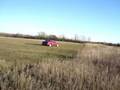 Rallying the dodge shadow....