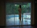 american beauty / the real world of carolin/ perfect dream american beauty / the real world of carolin/ perfect dream