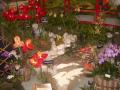 RHS Flower Show 2009 - Love Bond by Michael Tao, Kenix Kwok, Moses Chan & Bernice Liu (Chinese)
