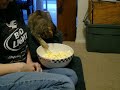 Popcorn cat