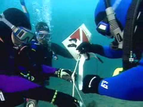 Search & Rescue Diver