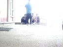7 Way [Cwalk] Dedication.