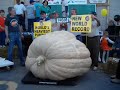 World Record Foods!!! World Record Foods!!!