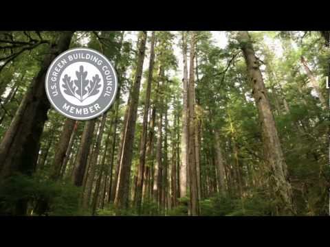 Watch Video Watch Video