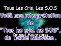 Tous Les Cris Les SOS - Daniel Balavoine (cover)