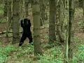 BSI  -  BIGFOOT FILES - CASE # 105
