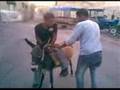 dabke dabka arab arabic dance palestine دبكة رقص