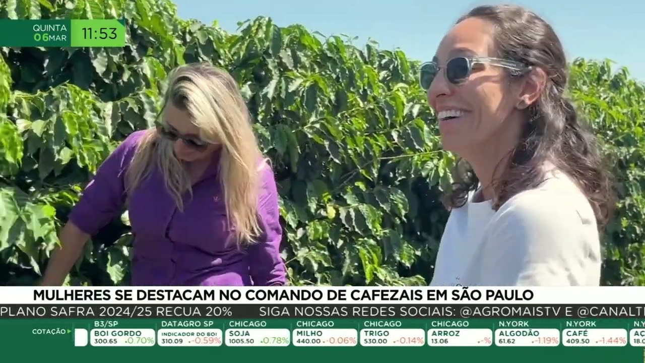 Mulheres se destacam no comando de cafezais em São Paulo