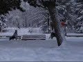 Malamute Pull