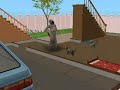 The Sims 2: When Pets Die (Cat Version) The Sims 2: When Pets Die (Cat Version)