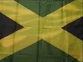 Lets PARTY!! ...JAMAICAN STYLE MON !! ... respect. Vibz