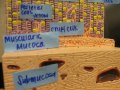 Click here to watch this video Reproductive System Slides & Models 005.avi