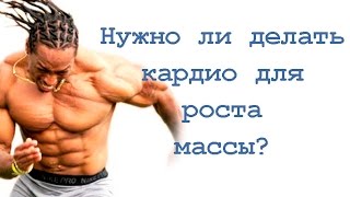 Почему нужно делать кардио после силовой тренировки Почему нужно делать кардио после силовой тренировки