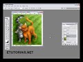 Photoshop: como criar efeitos de Glitter