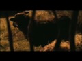 Mensagem de Natal - Pastoral dos Coroinhas
