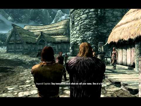 how to decide what race to be in skyrim