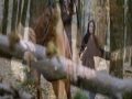 House of Flying Daggers Fatal Dance, Fiona Apple, Criminal
