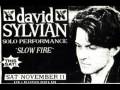 David Sylvian - Jean The Birdman - Live - NYC, 11/11/95